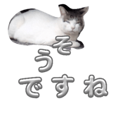 864087102