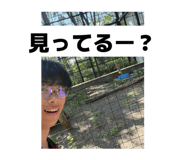 864100258