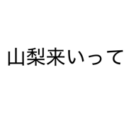 864106045