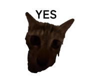864106689