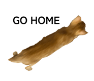 864106694