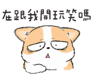 864107755