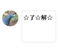 864111027
