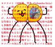 864111029