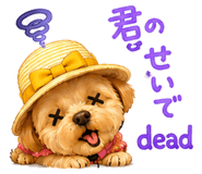 864112010
