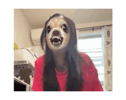 864142001