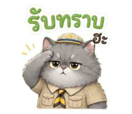แมวอ้วนกวนประสาทมาก รูปที่ 4