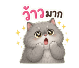 แมวอ้วนกวนประสาทมาก รูปที่ 10