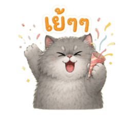 แมวอ้วนกวนประสาทมาก รูปที่ 15