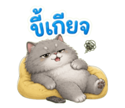 แมวอ้วนกวนประสาทมาก รูปที่ 18