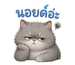 แมวอ้วนกวนประสาทมาก รูปที่ 26