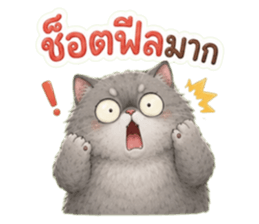 แมวอ้วนกวนประสาทมาก รูปที่ 27