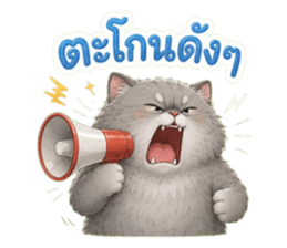 แมวอ้วนกวนประสาทมาก รูปที่ 30