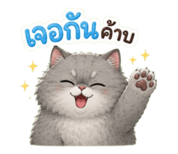 แมวอ้วนกวนประสาทมาก รูปที่ 36