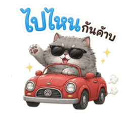 แมวอ้วนกวนประสาทมาก รูปที่ 37