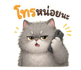แมวอ้วนกวนประสาทมาก รูปที่ 38
