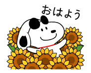 864196353