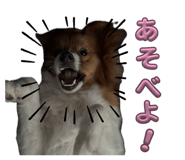 864201505