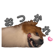 864201509