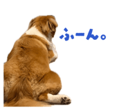 864201515