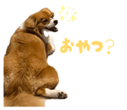 864201516