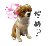 864201520