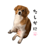 864201526