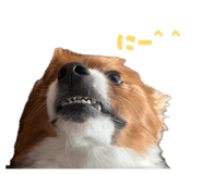 864201527