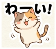 864203134
