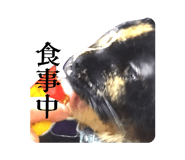864204019