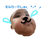 864204034