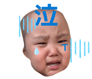 864204036