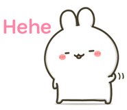 864208016