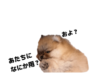 864208324