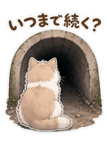 864226464