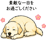 864233804