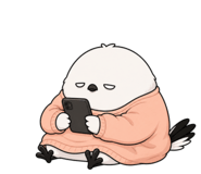 864237063