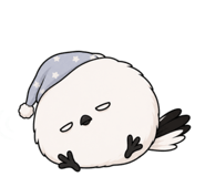 864237069