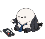864237081
