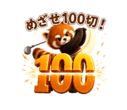 864245567