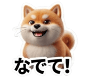 864246256