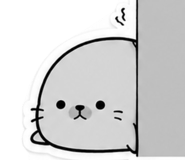 864249116