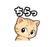 864252094