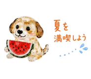864268288