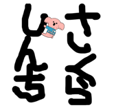 864269062