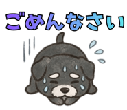 864290492