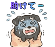 864290496