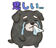 864290501