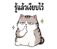 864316377