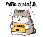 864316397
